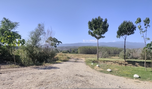 Exclusive property with mineral water and strategic location in Marikostinovo