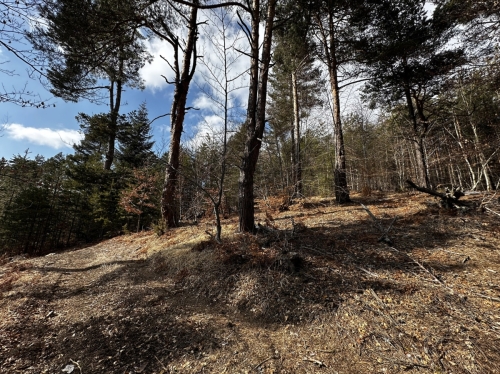 Villa property in the Raplevo area – tranquility, nature, and investment potential