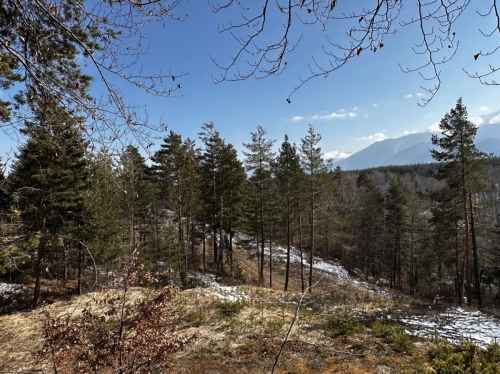 Villa property in the Raplevo area – tranquility, nature, and investment potential