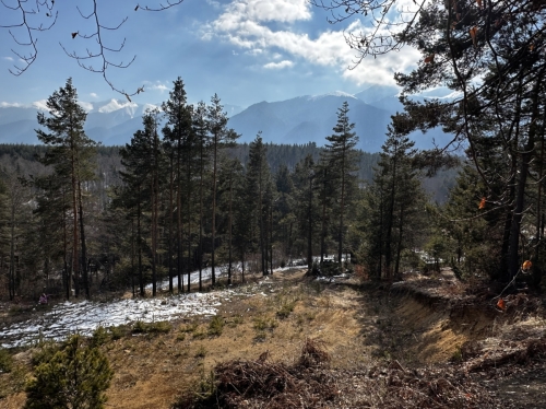 Villa property in the Raplevo area – tranquility, nature, and investment potential