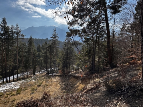 Villa property in the Raplevo area – tranquility, nature, and investment potential