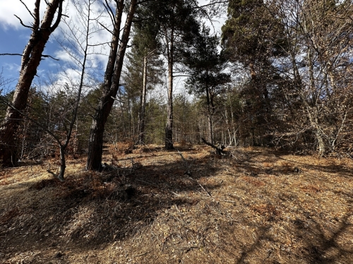 Villa property in the Raplevo area – tranquility, nature, and investment potential