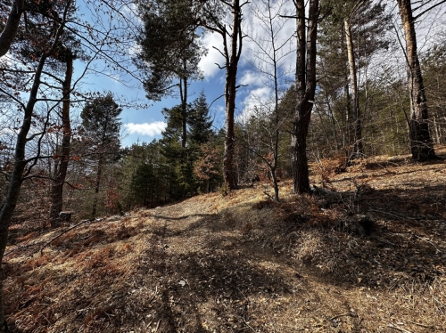 Villa property in the Raplevo area – tranquility, nature, and investment potential