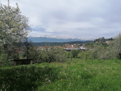 Благоевград, с. Добърско, ПРОДАВА