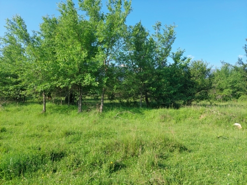 Blagoevgrad, gr. Razlog, For Sale