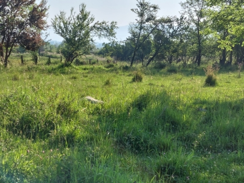 Panoramic investment property in the Betolovoto area – near Pirin Golf & Country Club