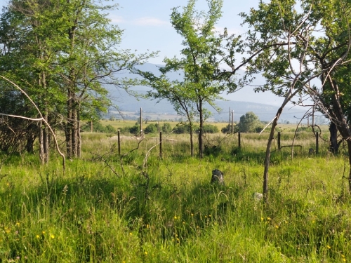 Panoramic investment property in the Betolovoto area – near Pirin Golf & Country Club