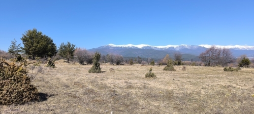 Blagoevgrad, gr. Razlog, For Sale