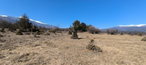 Имот в град Разлог - инвестиционна възможност до Pirin Golf & Country Club