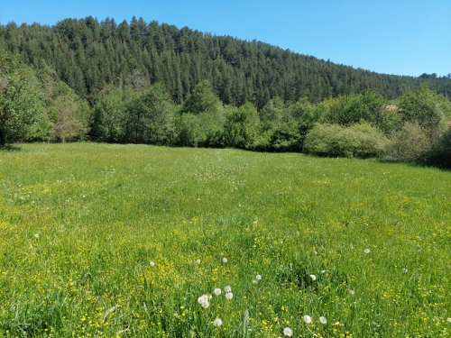 Investment property on the main road Razlog - Blagoevgrad - excellent visibility and business potential