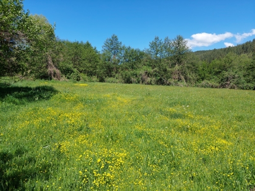 Investment property on the main road Razlog - Blagoevgrad - excellent visibility and business potential