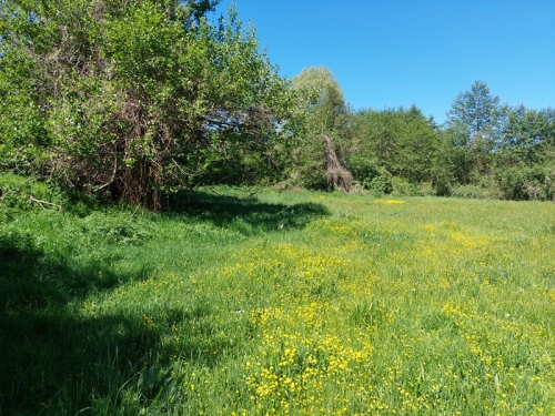 Investment property on the main road Razlog - Blagoevgrad - excellent visibility and business potential
