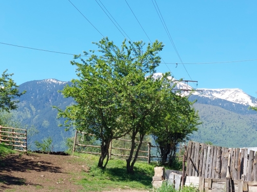 Investment property on the main road Razlog - Blagoevgrad - excellent visibility and business potential