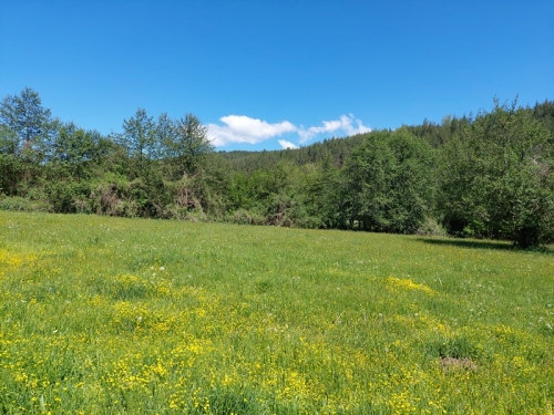 Investment property on the main road Razlog - Blagoevgrad - excellent visibility and business potential