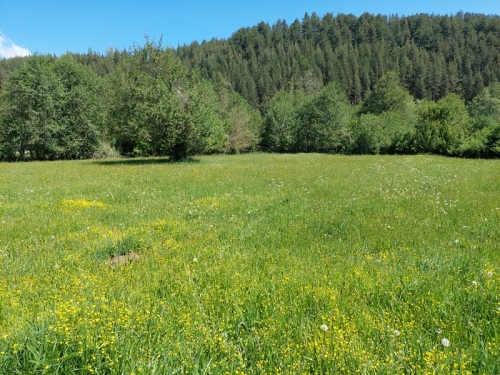 Investment property on the main road Razlog - Blagoevgrad - excellent visibility and business potential