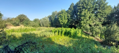 Sunny regulated plot in the town of Razlog - tranquility, nature, and excellent location