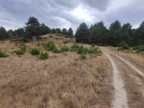Panoramic property in the village of Eleshnitsa with the possibility of building a villa.