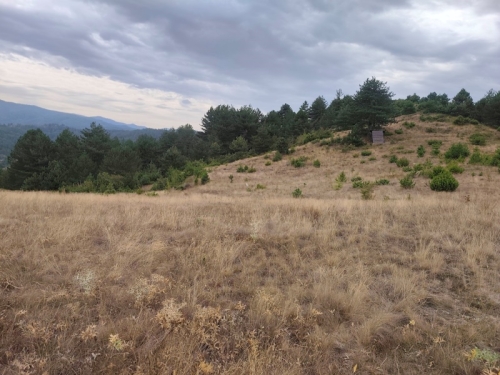 Panoramic property in the village of Eleshnitsa with the possibility of building a villa.