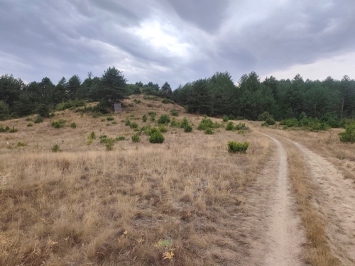 Panoramic property in the village of Eleshnitsa with the possibility of building a villa.