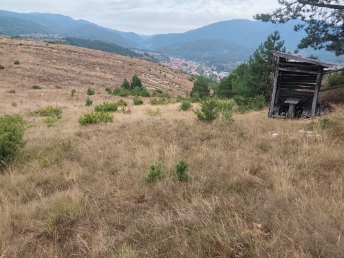 Panoramic property in the village of Eleshnitsa with the possibility of building a villa.