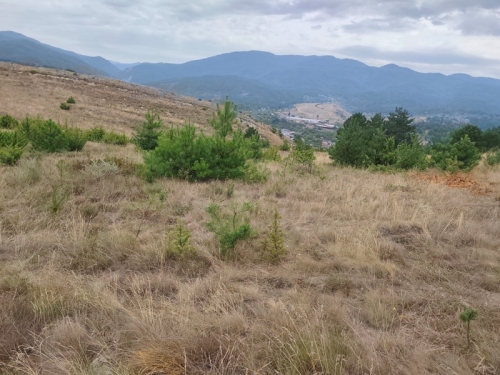Panoramic property in the village of Eleshnitsa with the possibility of building a villa.