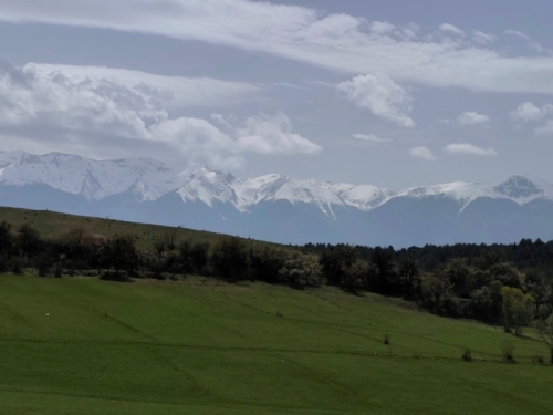Spacious agricultural land in Dobarsko.