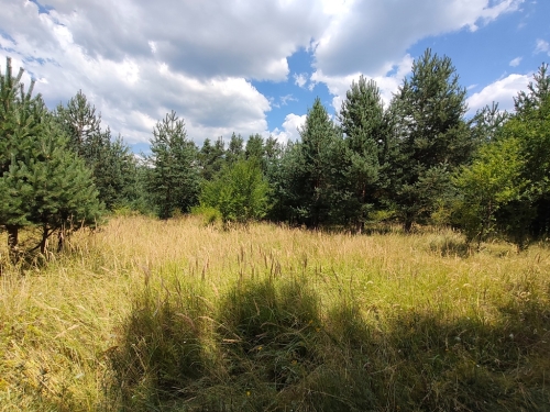 Благоевград, гр. Разлог, ПРОДАВА
