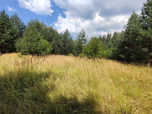 Благоевград, гр. Разлог, ПРОДАВА