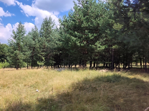 Инвестиционен парцел в регулация с площ 3943 кв.м и панорамна гледка към Пирин – вилна зона Бойков рид, град Разлог