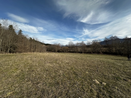 Agricultural property with an area of 4,840 sq.m in the territory of the town of Razlog.