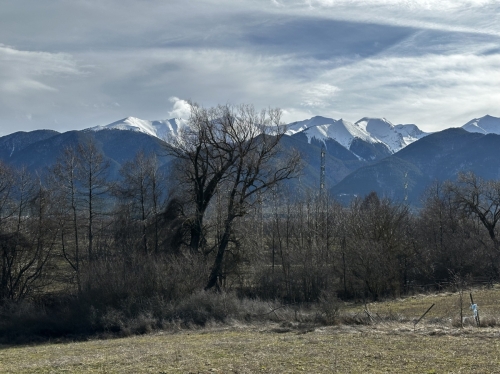 Agricultural property with an area of 4,840 sq.m in the territory of the town of Razlog.