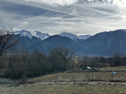 Agricultural property with an area of 4,840 sq.m in the territory of the town of Razlog.