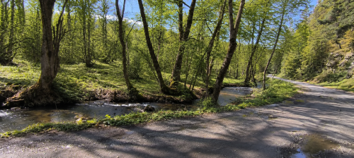 Blagoevgrad, gr. Razlog, For Sale