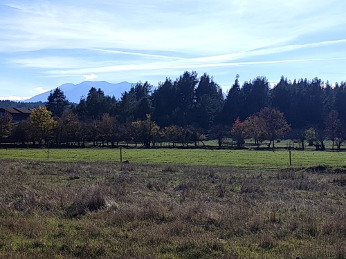 ATTRACTIVE PROPERTY FOR YOUR BUSINESS OR PERSONAL FARM IN THE VILLAGE OF DOLNO DRAGLISHTE