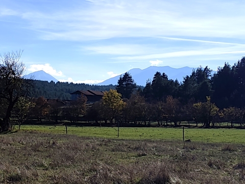 ATTRACTIVE PROPERTY FOR YOUR BUSINESS OR PERSONAL FARM IN THE VILLAGE OF DOLNO DRAGLISHTE
