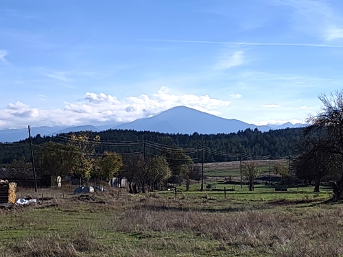 ATTRACTIVE PROPERTY FOR YOUR BUSINESS OR PERSONAL FARM IN THE VILLAGE OF DOLNO DRAGLISHTE